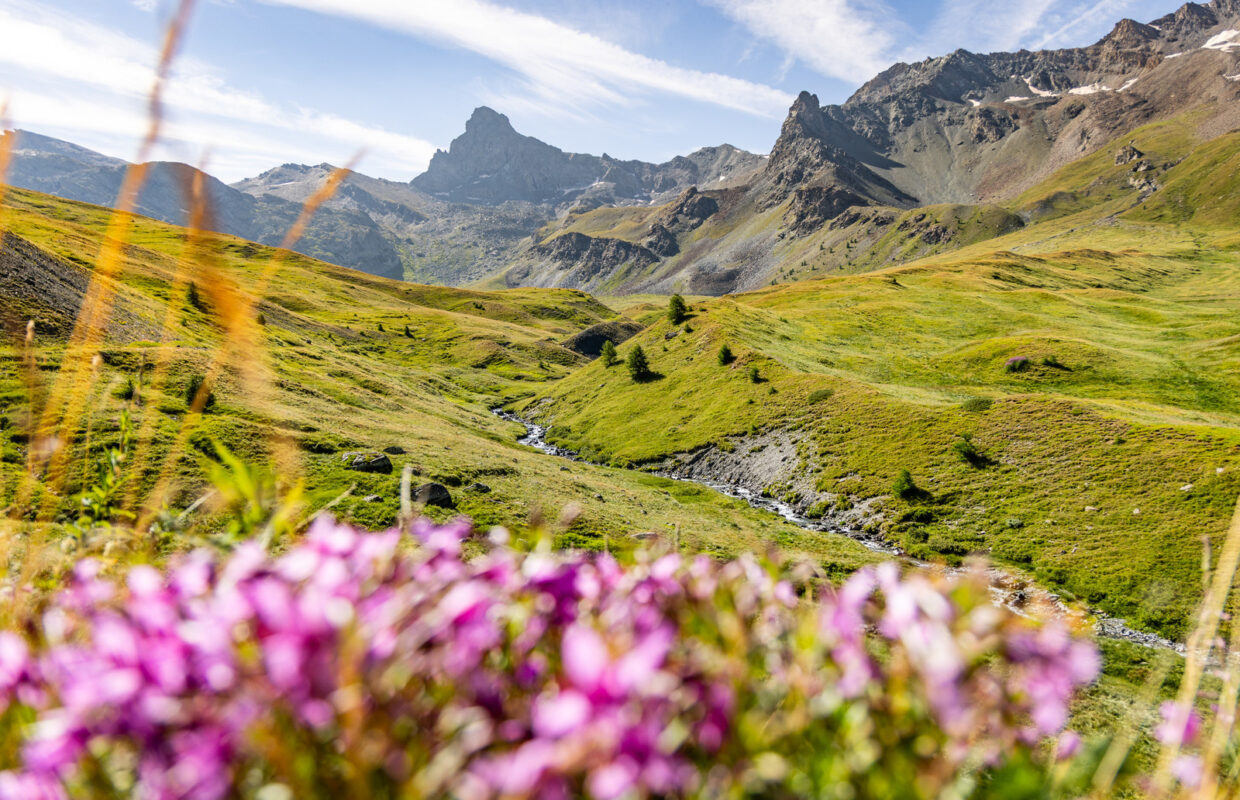 Paysage du Queyras en été, vue sur la tête des Toillies